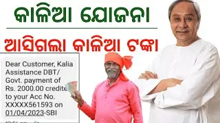 kalia yojana new update today // Kalia Yojana money received