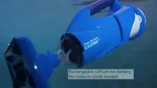 Water Tech Pool Blaster Catfish