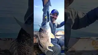 big catch 🐟🔥 #reels #fishing #fishingislife