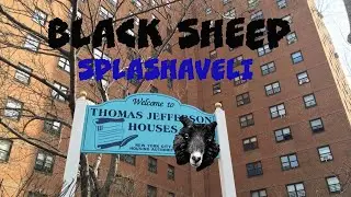 SPLASHAVELI - BLACK SHEEP