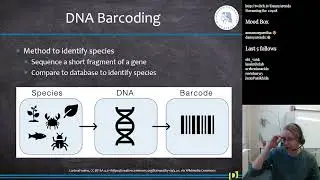 DNA Metabarcoding of eDNA/eRNA (Bioinformatics S14E1)