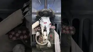 #харківськийвеломандрівник