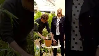 Loved having a chat with Johanna Griggs for Better Homes & Gardens! Dusted off my gardening boots.