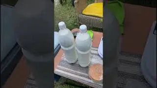 Воскресенье. А я как привязанный! #деревня #nature #village #экопродукция #shortvideo #shorts #short
