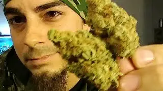LETS BLAZE ITS 420