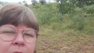 Travel Time: South Africa