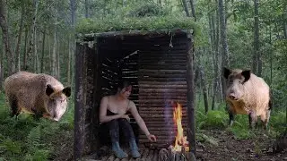 60 days solo camping. Build shelter in the jungle. Survival bushcraft