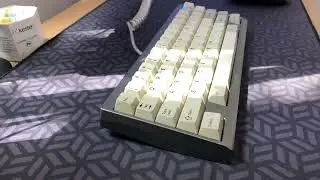 The pp is back