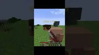 Accidental Minecraft Animal Mishap!
