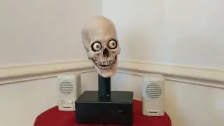 Project Yorick