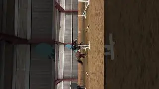 What do you prefer grids or courses? #equestrian #equestrian #horse #horseriding #horsejumping #fyp