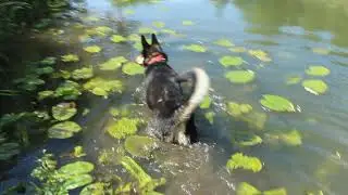ЗемлЯ: Солнце, + ВозДУХ, + вОДА, = ,нАШИ ЛУЧШИЕ ДРУЗья!