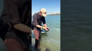 RUSH WAVE，I had fun watching the video 