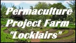Late Spring Walkabout the #Permaculture Project #farm