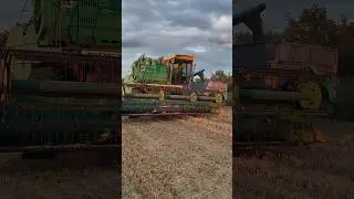 Уборка урожая пшеницы 2024!