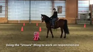 Building Confidence through Horsemanship