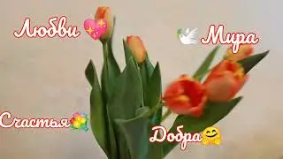 💐Милые мои девочки, девушки и девушки постарше, с 8марта 💐🤗