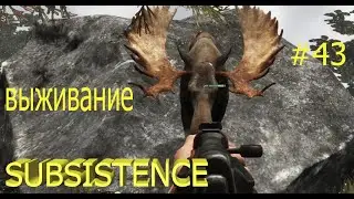 Subsistence выживание 2022.