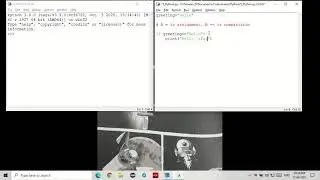 How to use If statements (If, Elif, and Else) and the input() function in Python