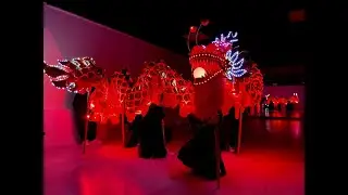 Шоу с китайским драконом