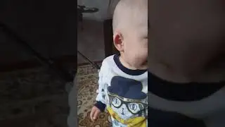 15 сентября 2019 г.Бальзам ішкен балақай. Тәй-тәй басқан балапан.
