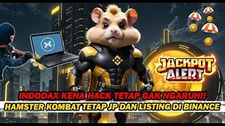 INDODAX MASIH BELUM BISA DIBUKA? HAMSTER KOMBAT TETAP JP!! ADA UPDATE PENTING DARI HAMSTER KOMBAT!
