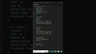 Border Hover Effect | CSS HTML 