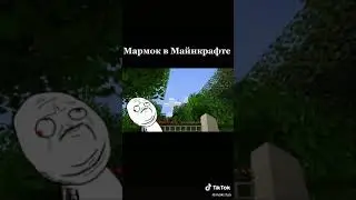 мармок в Майнкрафте