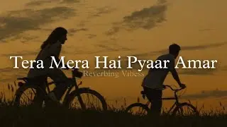 Tera Mera Hai Pyaar Amar (Slowed + Reverbed) | Ishq Murshid - OST | Ahmed Jahanzeb
