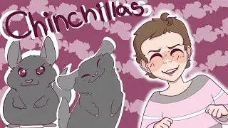 All About [my] Chinchillas || Animated storytime