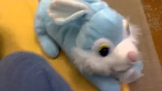 Мой заяц Смехачь