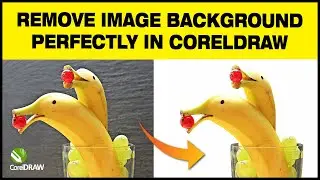 Remove Image Background in CorelDraw | How to Remove Image Background in CorelDraw 