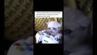 Gaming Memes Only True Gamers Understand 333 