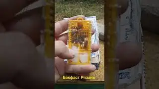 Бакфаст ИО