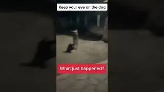 Scary Videos Found on The Internet😳 