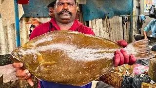 KASIMEDU SPEED SELVAM SOLE NAAKU FISH CUTTING VIDEO CUTTING FOCUS