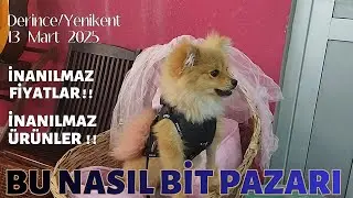 Yenikent Bit Pazarında Neler Oluyor (13 Mart 2025)