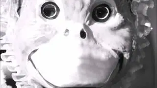 Fotografía Bicéfala - Teaser Sprocket #5 ft. KRRS + MRRN