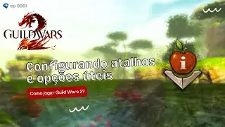 Configurando atalhos e opções úteis - Guild Wars 2 (BR)
