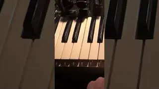 CRAZY DIY SYNTH :D #shorts #diybuilds #diysynth #synthesizer #analogsynth #crazysounds #demented