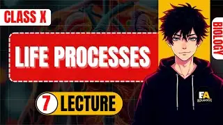 Nutrition in human beings (Digestion)l Life Processes l CBSE 2026