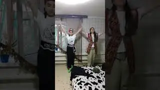 веселые моменты