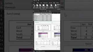 How to format Tables in MS Excel with AutoFormat Feature