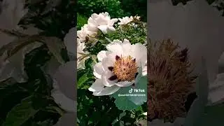 2 июня 2023 г.