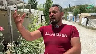 النازحون في ريف إدلب الغربي يجدون متنفسًا في زراعة الأشجار والورود بين الخيام