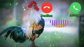 Ringtone|Message ringtone|notification ringtone|Hindi Ringtone| #soomrotv  best tone | King of sms |