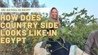 What does the countryside look like in Egypt