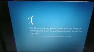 Mavis Crying Has BSOD