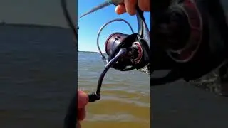 Жерех как из пулемёта!!!