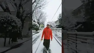 Noah - Yang Terdingin